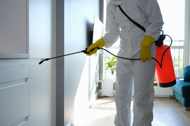 Best Office Mold Removal Services  in Hasley Nyon, CA