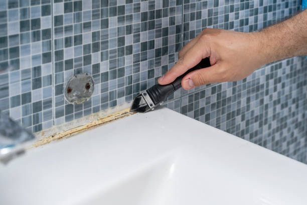 Best Affordable Mold Removal  in Hasley Nyon, CA