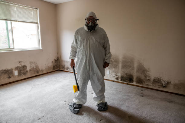 Trusted Hasley Canyon, CA Mold Removal Experts